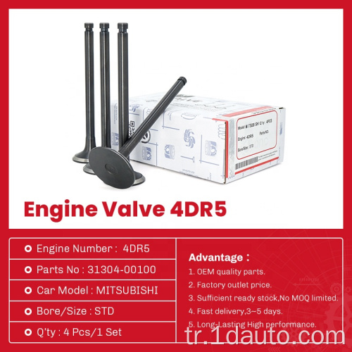 Motor Valfı 4DR5 Mitsubishi için Emme Egzoz Valfi